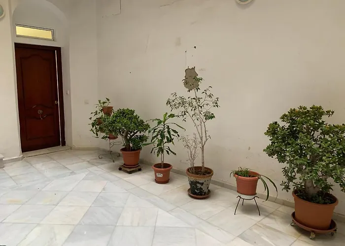 Apartamento En Cadiz Capital